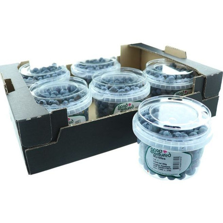 MYRTILLE SEAU 15X300G